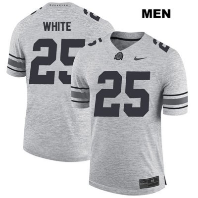 Men's NCAA Ohio State Buckeyes Brendon White #25 College Stitched Authentic Nike Gray Football Jersey OB20R23LH